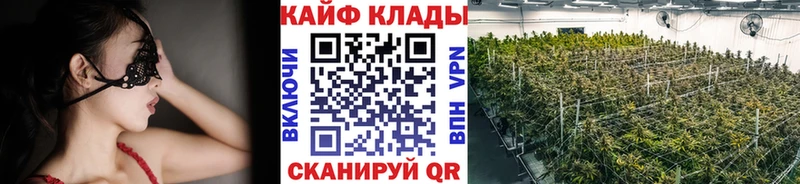 Где купить наркоту Пикалёво Галлюциногенные грибы  МЕТАМФЕТАМИН  ГАШ  Мефедрон  Cocaine  АМФ 