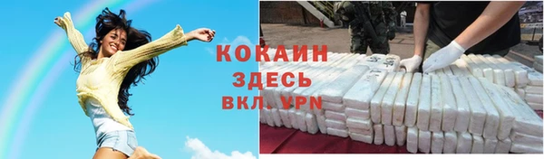 шишки Алексин