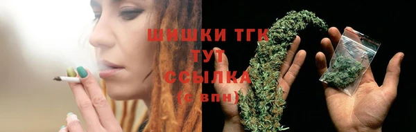 шишки Алексин