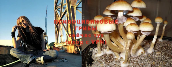 дурь Алексеевка