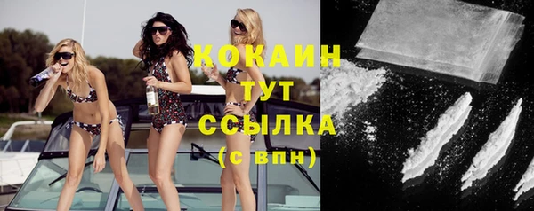 крисы Покачи