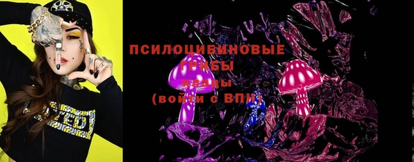 дурь Алексеевка