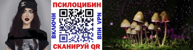 Псилоцибиновые грибы Cubensis  Пикалёво 
